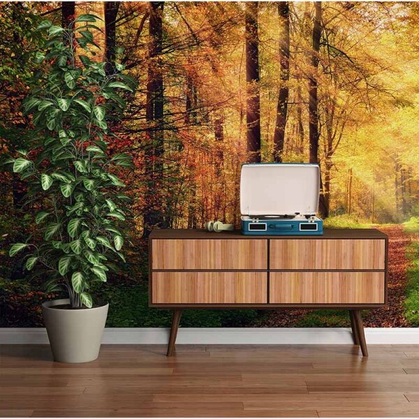 Digitaldruck-Tapete AutumnForest2 livingwalls (DD114992)