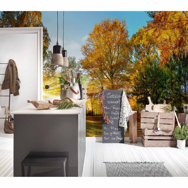 Digitaldruck-Tapete AutumnForest1 livingwalls (DD115033)