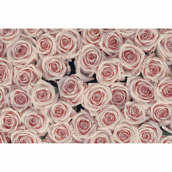 Digitaldruck-Tapete AntiqueRoses livingwalls (DD115103)