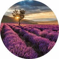 Digitaldruck-Tapete Lavender in the Provence livingwalls...