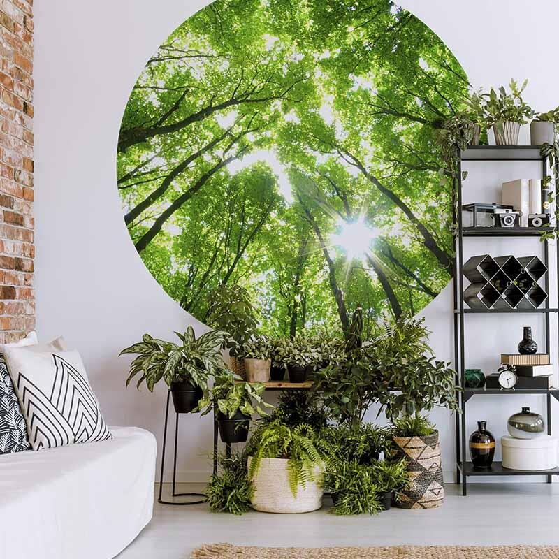 Digitaldruck-Tapete Sunny Forest livingwalls (DD119185)
