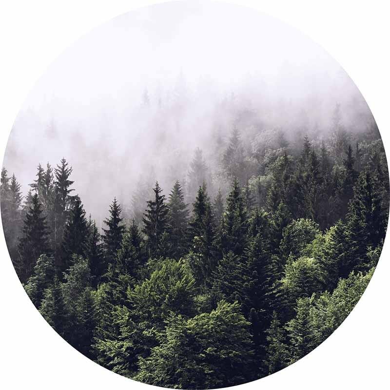 Digitaldruck-Tapete Foggy Forest  livingwalls (DD119184)