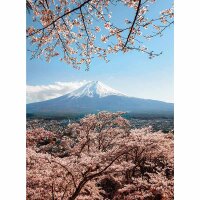 Digitaldruck-Tapete Mount Fuji in Japan livingwalls...