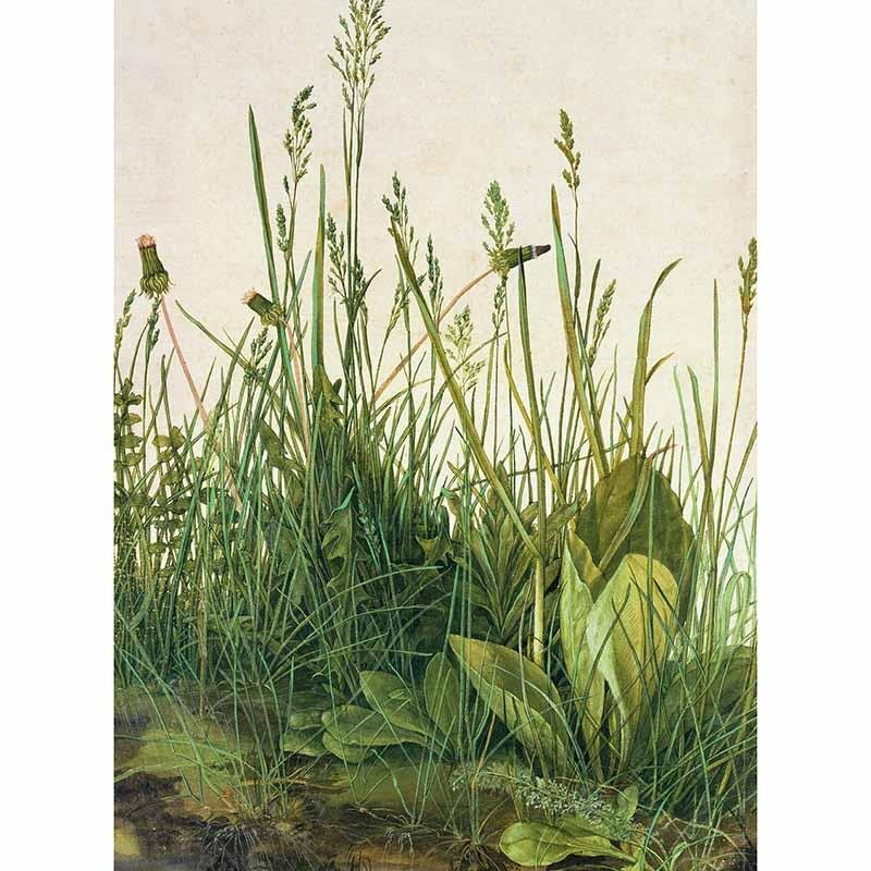 Digitaldruck-Tapete Great Piece of Turf livingwalls (DD119161)