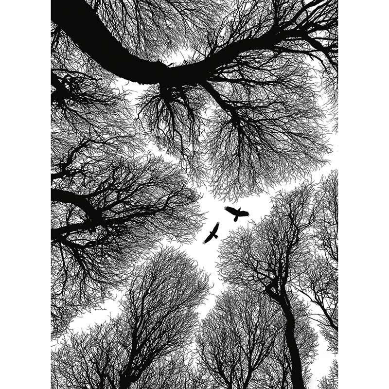 Digitaldruck-Tapete Escape livingwalls (DD119154)