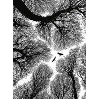 Digitaldruck-Tapete Escape livingwalls (DD119154)