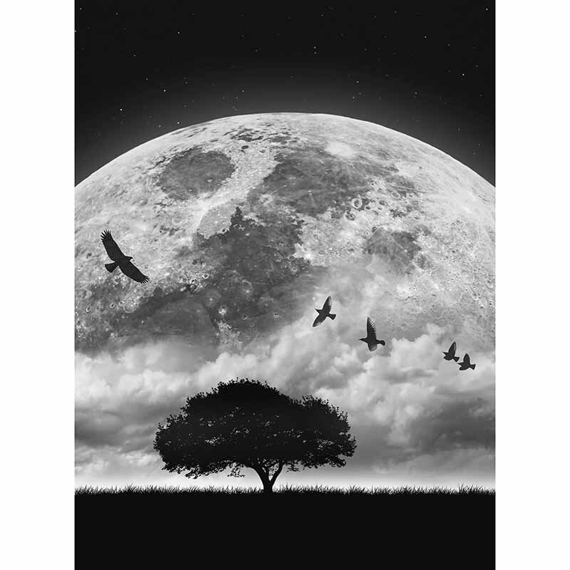 Digitaldruck-Tapete Moon and Birds livingwalls (DD119153)
