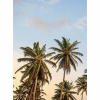 Digitaldruck-Tapete Take me to Ibiza livingwalls (DD119150)