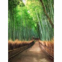 Digitaldruck-Tapete Bamboo Grove Kyoto livingwalls...