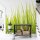 Digitaldruck-Tapete High Grass livingwalls (DD119137)