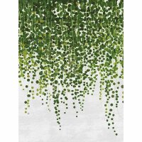 Digitaldruck-Tapete Hanging Plants livingwalls (DD119132)
