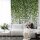 Digitaldruck-Tapete Hanging Plants livingwalls (DD119132)
