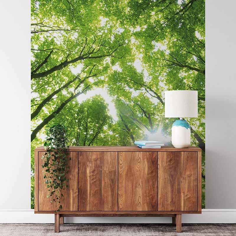 Digitaldruck-Tapete Sunny Forest livingwalls (DD119129)
