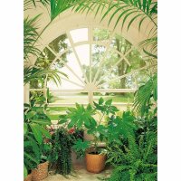 Digitaldruck-Tapete Wintergarden livingwalls (DD119110)