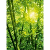 Digitaldruck-Tapete Bamboo Forest livingwalls (DD119095)