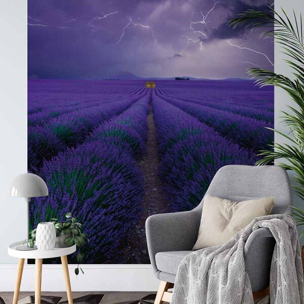 Digitaldruck-Tapete Field Of Lavender livingwalls (DD119090)