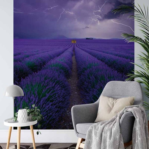 Digitaldruck-Tapete Field Of Lavender livingwalls (DD119090)