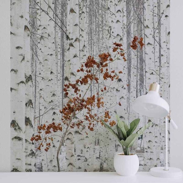 Digitaldruck-Tapete White Birch Forest livingwalls (DD119078)