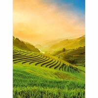Digitaldruck-Tapete Terraced Rice Field In Vietnam...