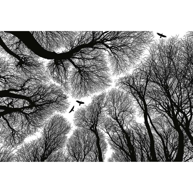 Digitaldruck-Tapete Escape livingwalls (DD119045)