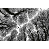 Digitaldruck-Tapete Escape livingwalls (DD119045)