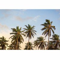 Digitaldruck-Tapete Take me to Ibiza livingwalls (DD119041)