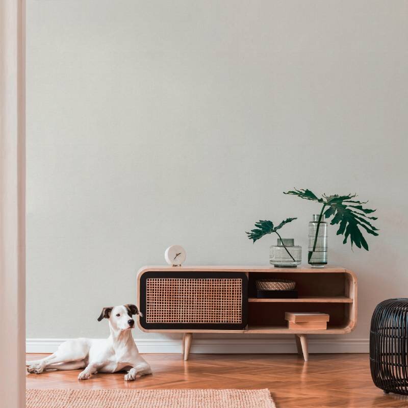 Tapete Grau AS-Creation Vliestapete (306889)