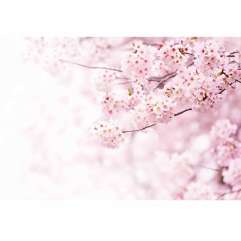 Digitaldruck-Tapete Delicate Flowers livingwalls (DD119028)