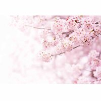 Digitaldruck-Tapete Delicate Flowers livingwalls (DD119028)