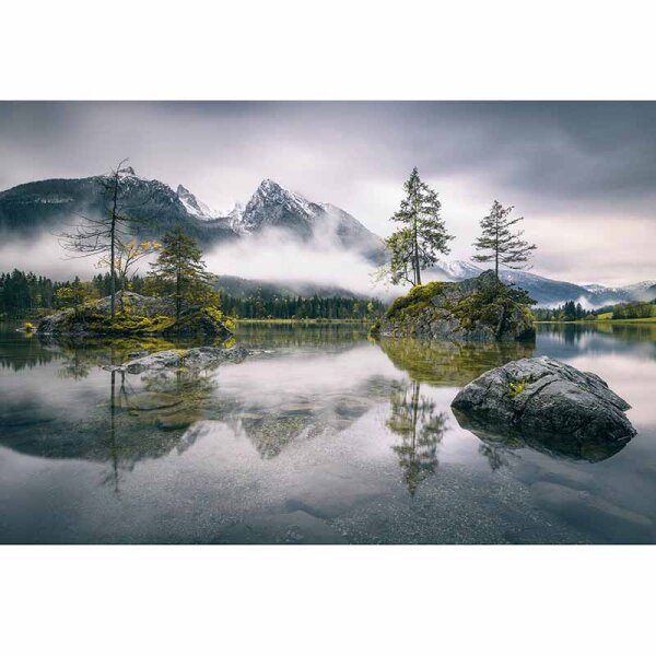 Digitaldruck-Tapete Foggy Day livingwalls (DD119023)