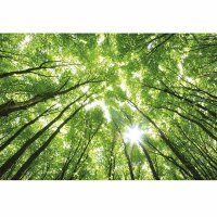 Digitaldruck-Tapete Sunny Forest livingwalls (DD119021)