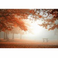 Digitaldruck-Tapete Sleeping Forest livingwalls (DD119020)