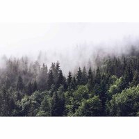 Digitaldruck-Tapete Foggy Forest&nbsp; livingwalls...