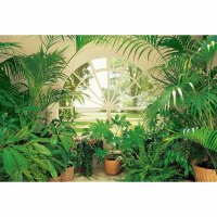 Digitaldruck-Tapete Wintergarden livingwalls (DD119003)