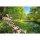 Digitaldruck-Tapete Park in the Spring livingwalls (DD118991)