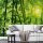 Digitaldruck-Tapete Bamboo Forest livingwalls (DD118986)