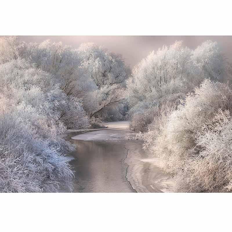 Digitaldruck-Tapete Frozen Forrest livingwalls (DD118968)