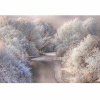 Digitaldruck-Tapete Frozen Forrest livingwalls (DD118968)