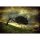 Digitaldruck-Tapete Scary Vintage Tree livingwalls (DD118967)