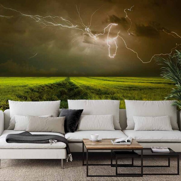 Digitaldruck-Tapete Lightning and Thunder livingwalls (DD118933)