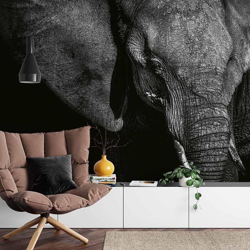 Digitaldruck-Tapete Beautiful Elephant livingwalls (DD118920)