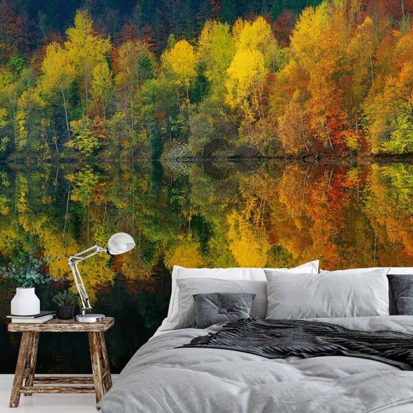 Digitaldruck-Tapete Autumn Forest Lake livingwalls (DD118913)
