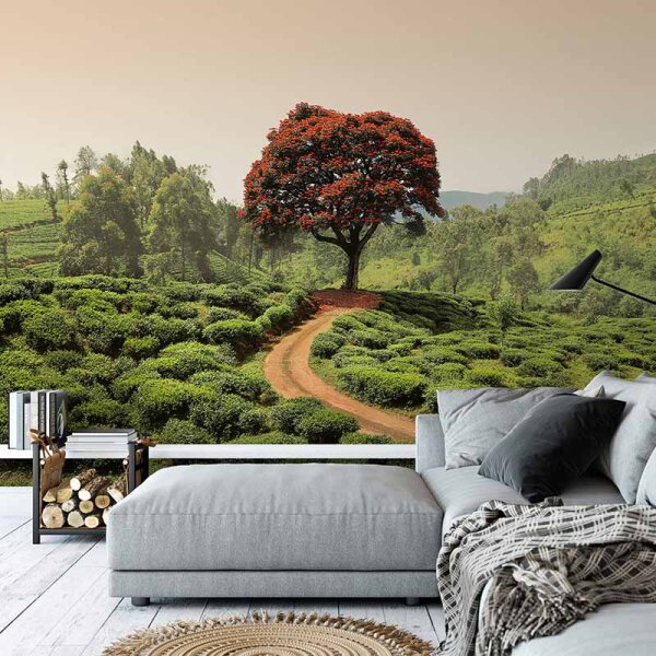 Digitaldruck-Tapete Red Tree and Hills in Sri Lanka livingwalls (DD118901)