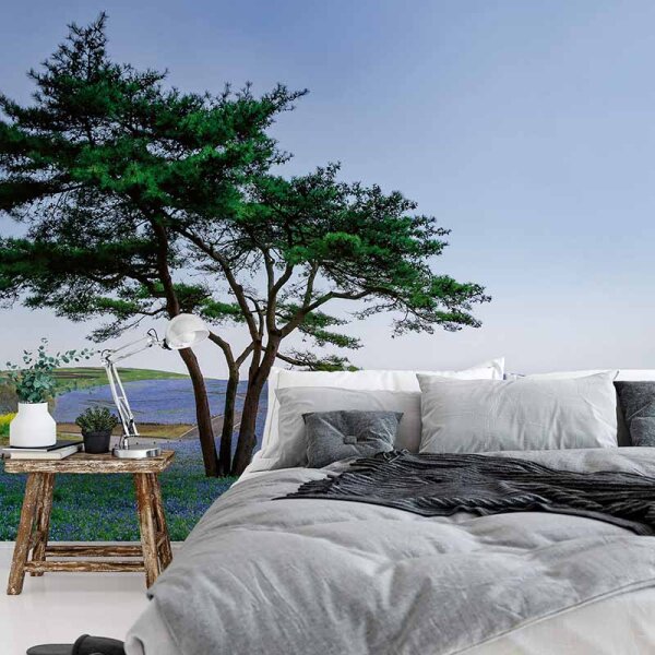 Digitaldruck-Tapete Tree in Blue Flower Field in Japan livingwalls (DD118899)