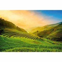 Digitaldruck-Tapete Terraced Rice Field In Vietnam...