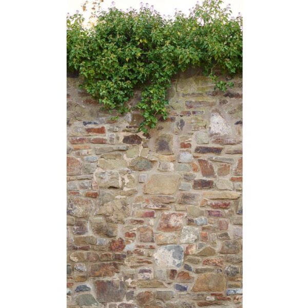 Digitaldruck-Tapete Elements livingwalls (392471)