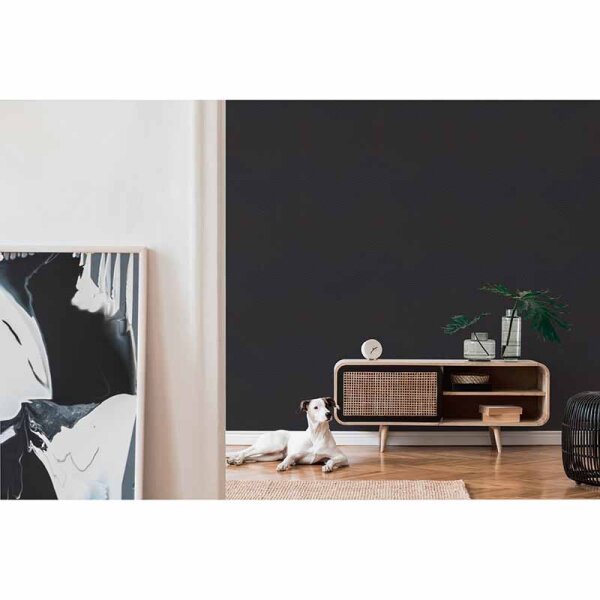 Tapete Schwarz, Anthrazit Daniel Hechter Vliestapete (375226)