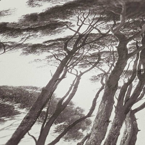 Tapete Braun, Weiß AS-Creation Vliestapete (376511)