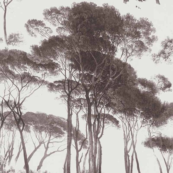 Tapete Braun, Weiß AS-Creation Vliestapete (376511)