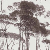 Tapete Braun, Wei&szlig; AS-Creation Vliestapete (376511)